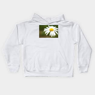 Delicate blossoming garden daisy, flower photography Kids Hoodie